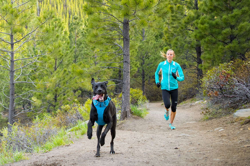 Black dog running with woman on trail for outdoor exercise