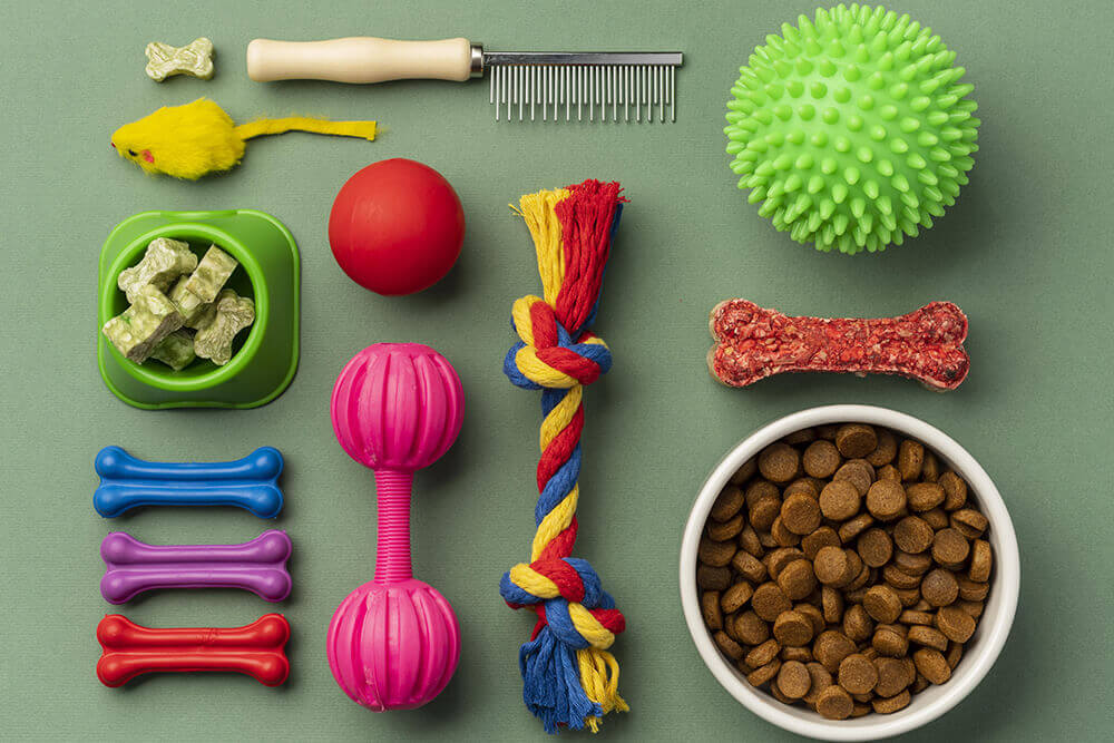 Colorful pet supplies, toys, and food bowls arranged flat lay