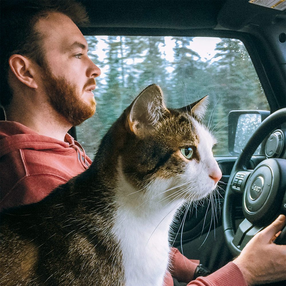 Man and cat on car road trip adventure in Canada